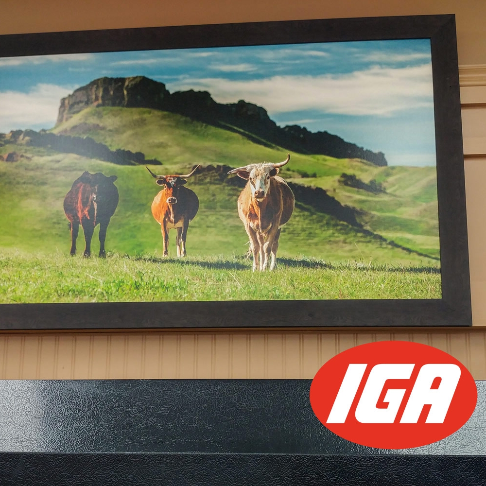 Large prints now up at Gary & Leo's IGA in Havre