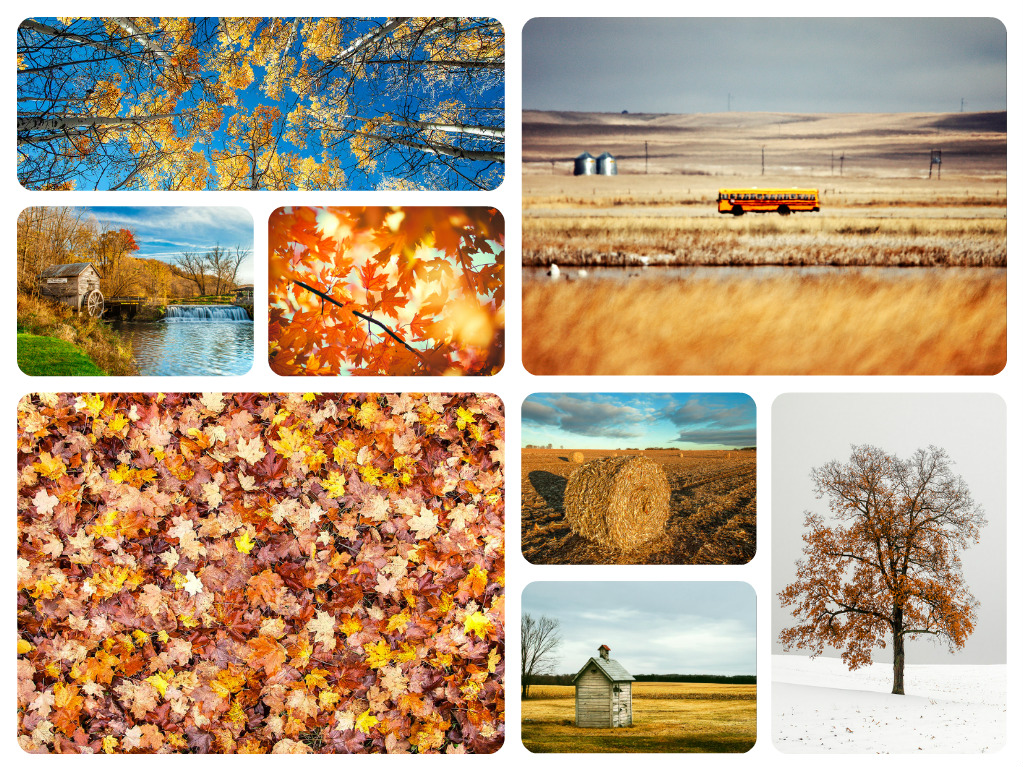 Have you seen my photos of autumn?