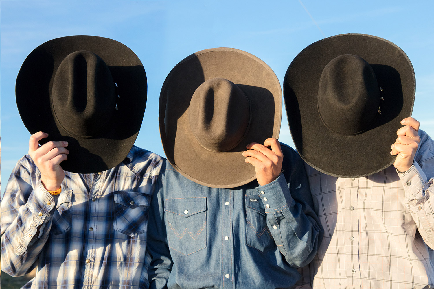 Cowboys Anonymous