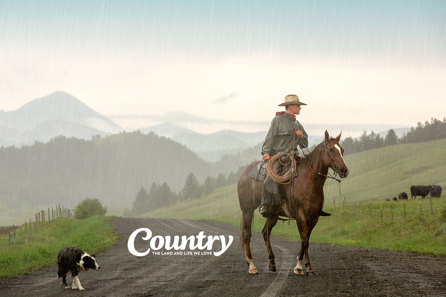 My photo of a cowboy rounding up cattle in the rain was the grand prize winner in Country magazine's 2016 Country Life Photo Contest.&nbsp;→ Buy a Print&nbsp;or License Photo