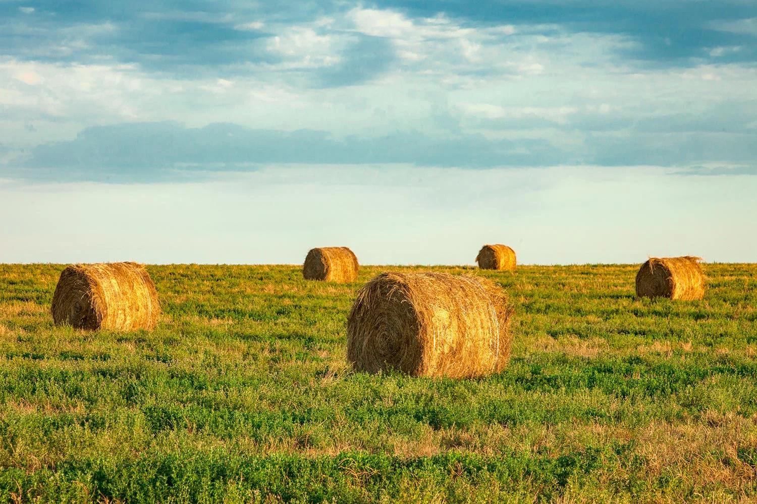 Round Hay Bales