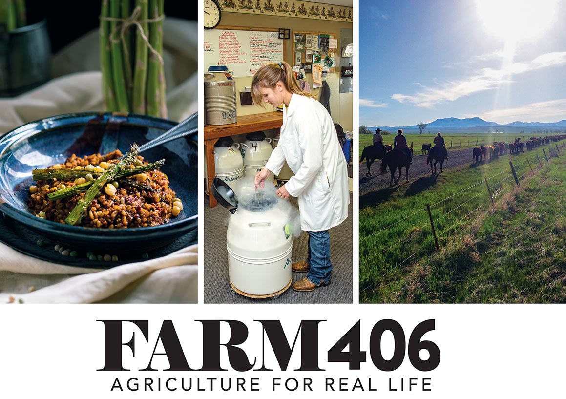 Montana Agriculture Magazine - Farm406