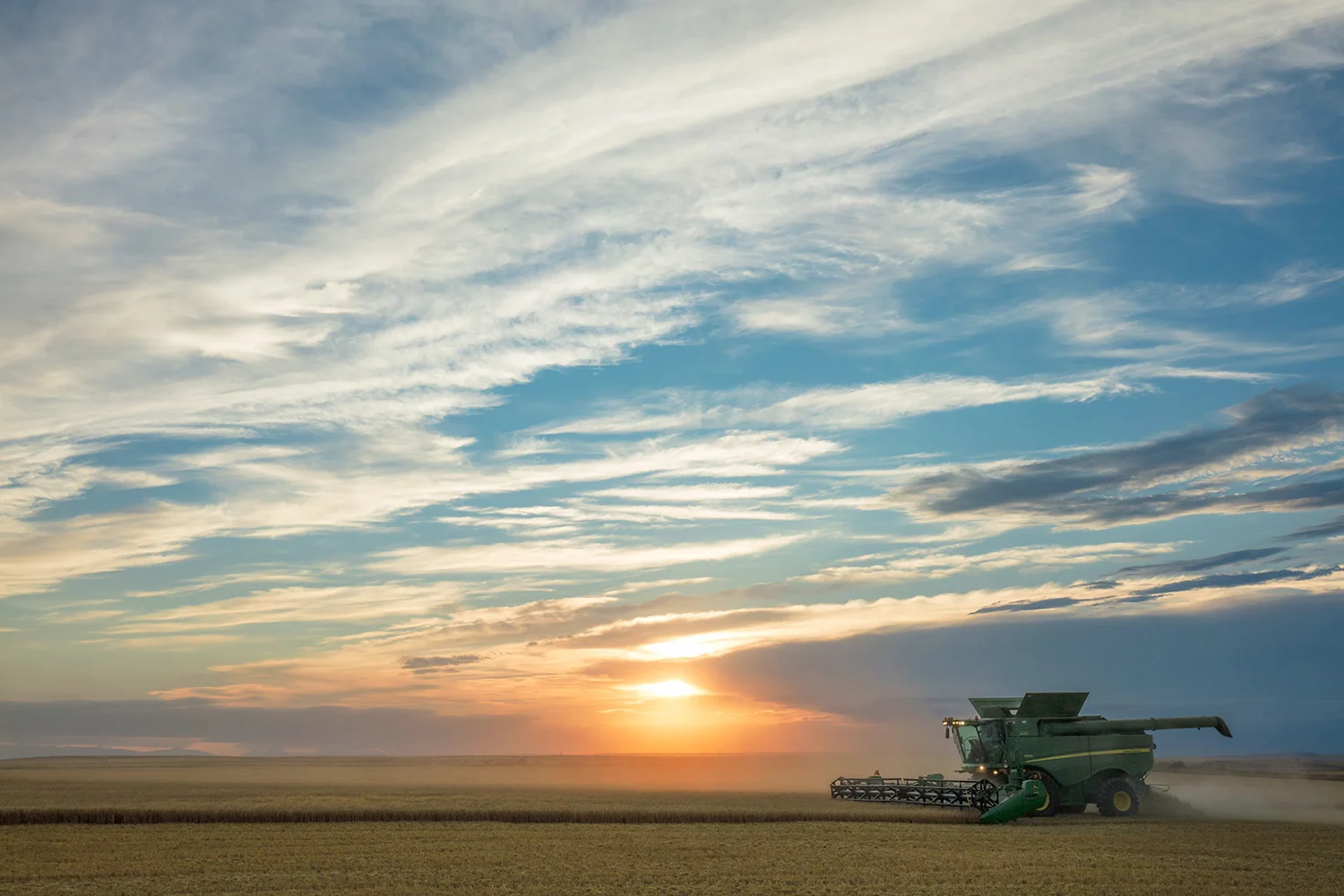 Beautiful Harvest