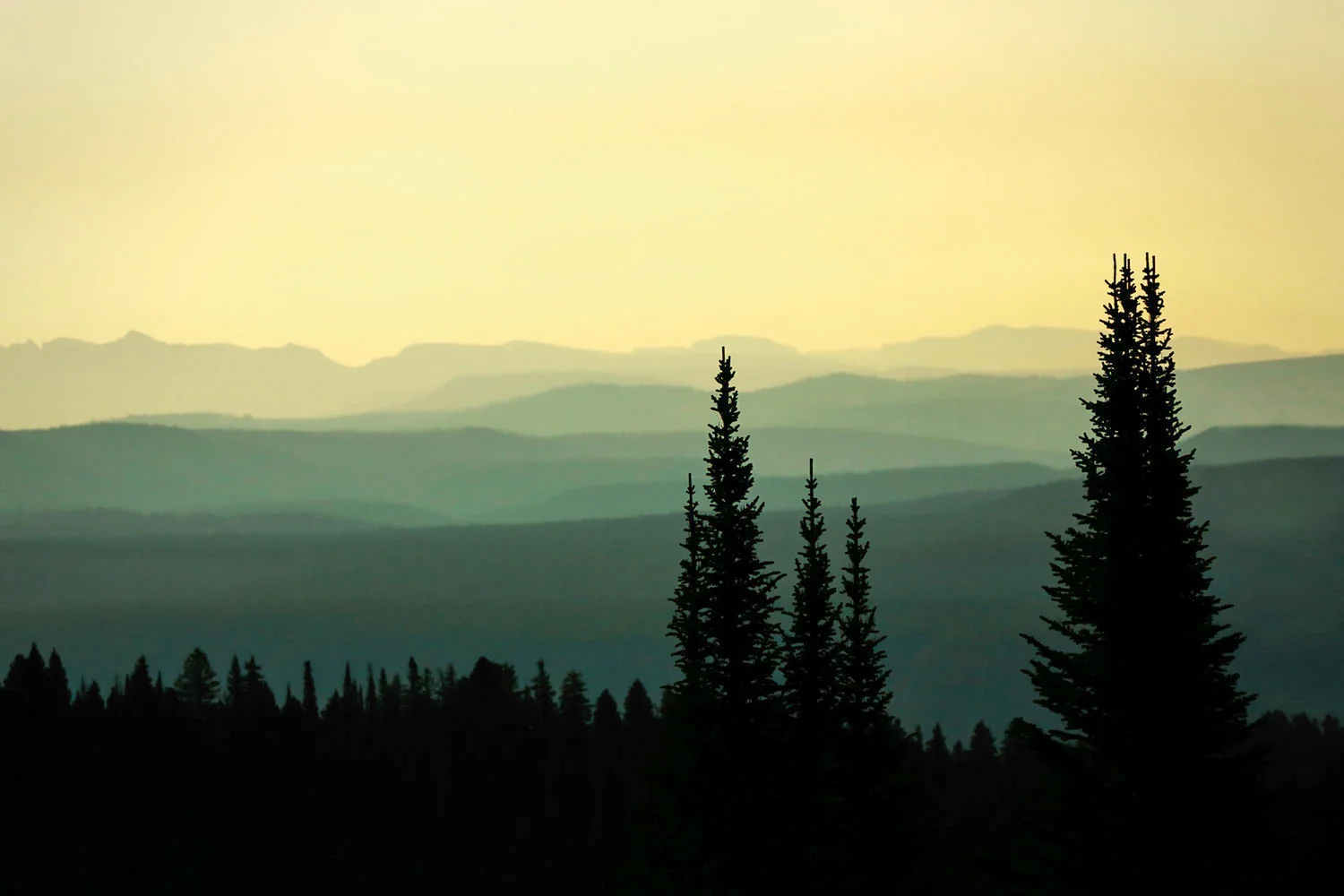 Mount Washburn Mist
