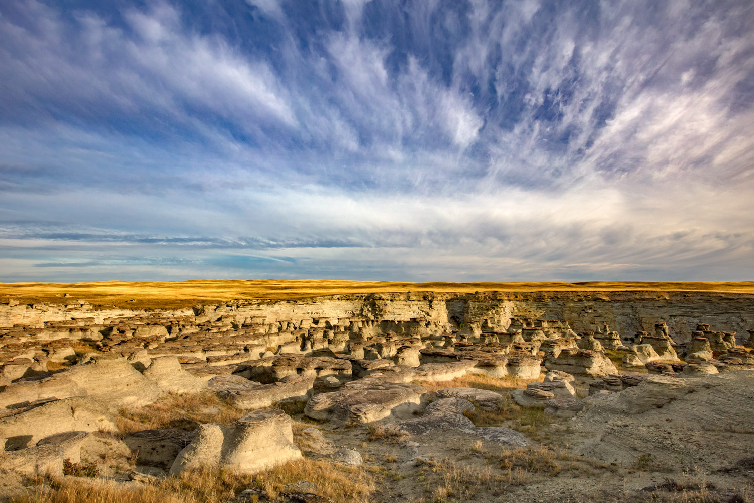 A maze of water eroded sandstone pillars and hoodoos called Rock City near Valier, Montana.