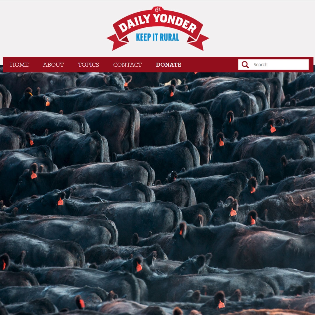 My agriculture photography featured in Daily Yonder website
