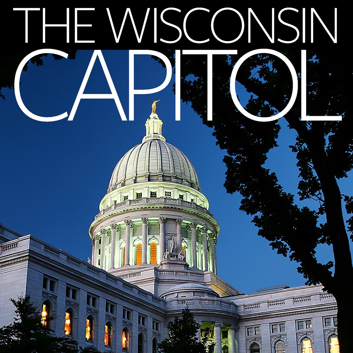 My photo of Wisconsin captitol published on cover of a new book