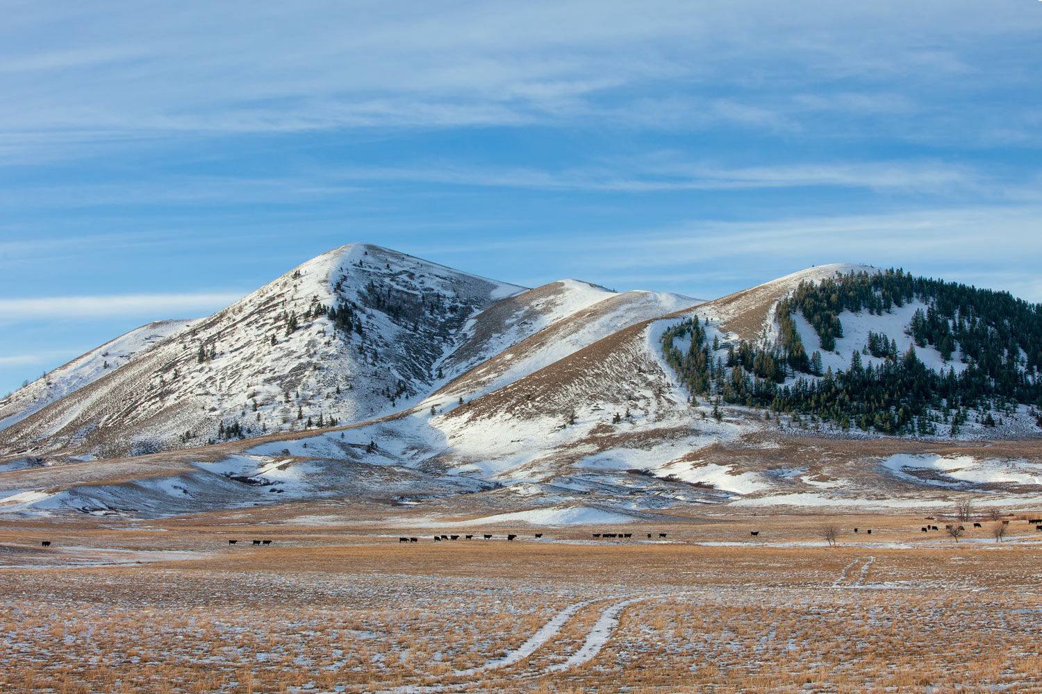 Snowy Buttes