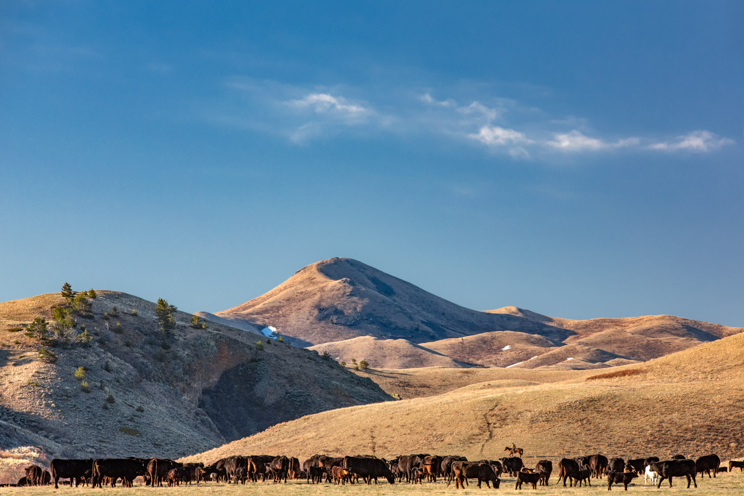 Agriculture Stock Photos and Commercial Photographer by 