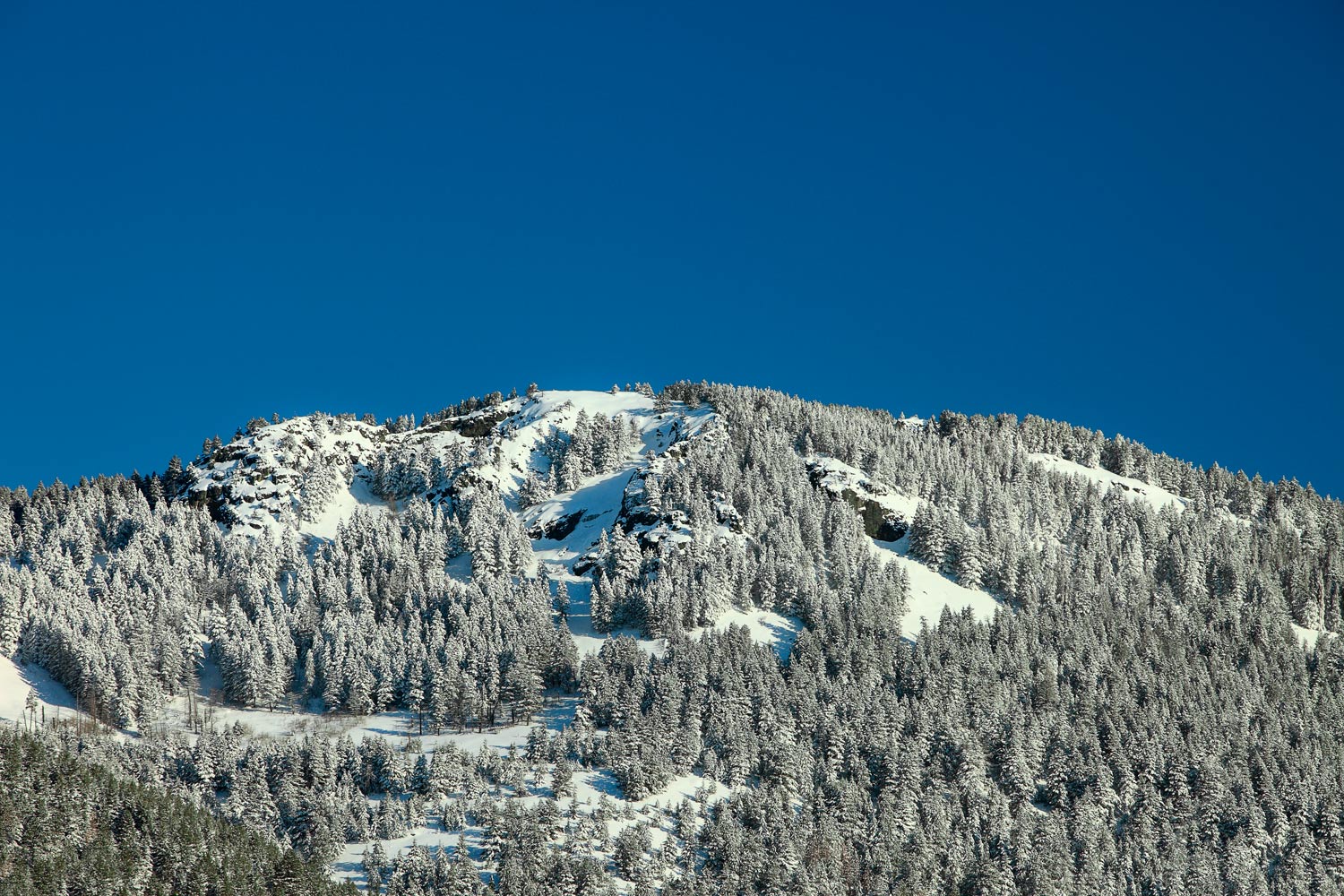Snowy Mount