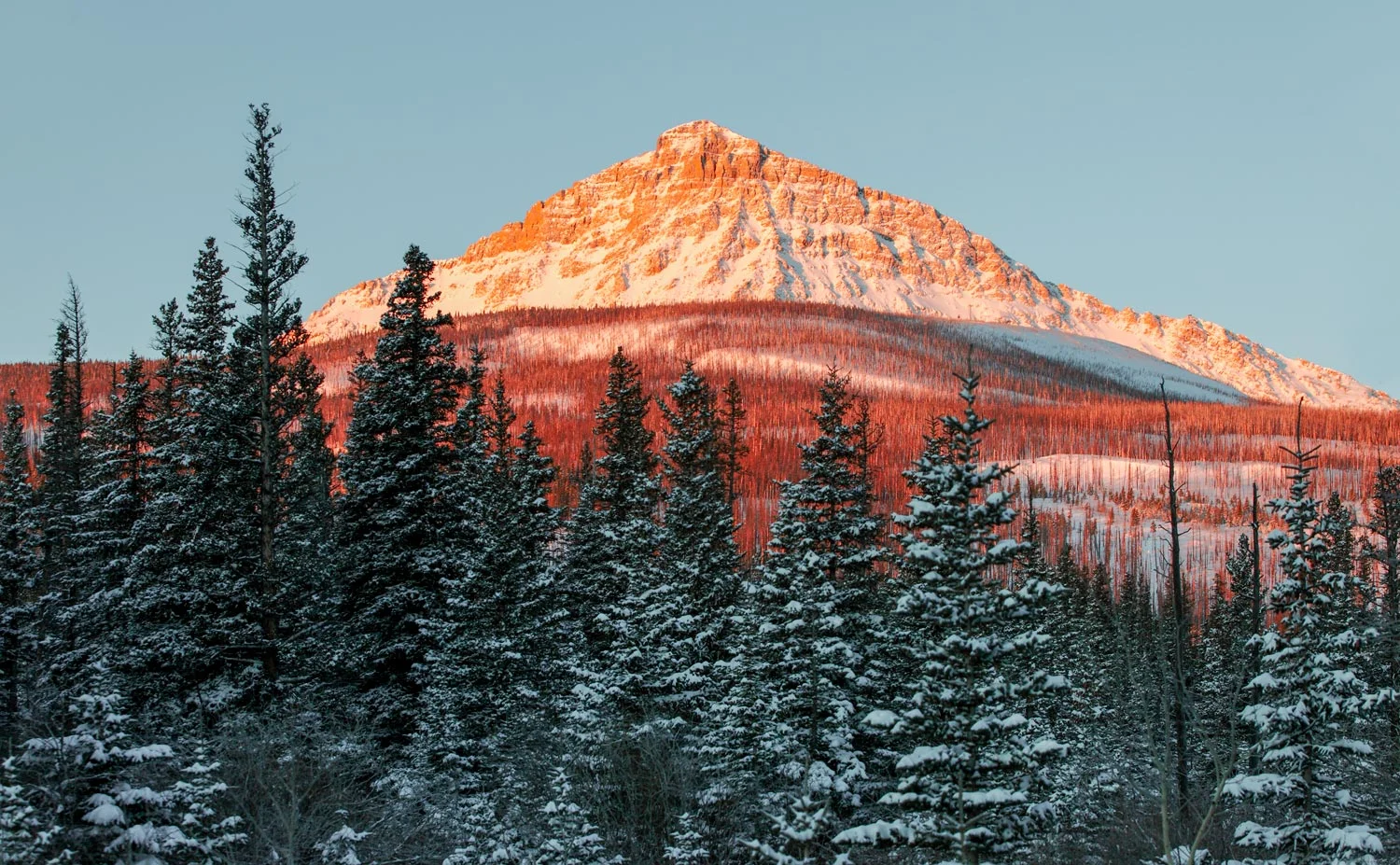 Kupunkamint Mountain Morning