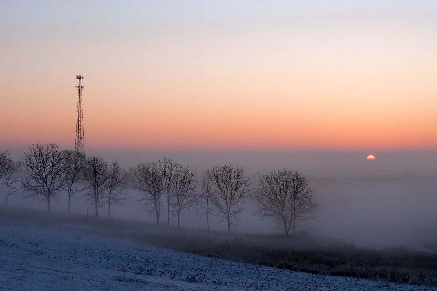 Winter Tower