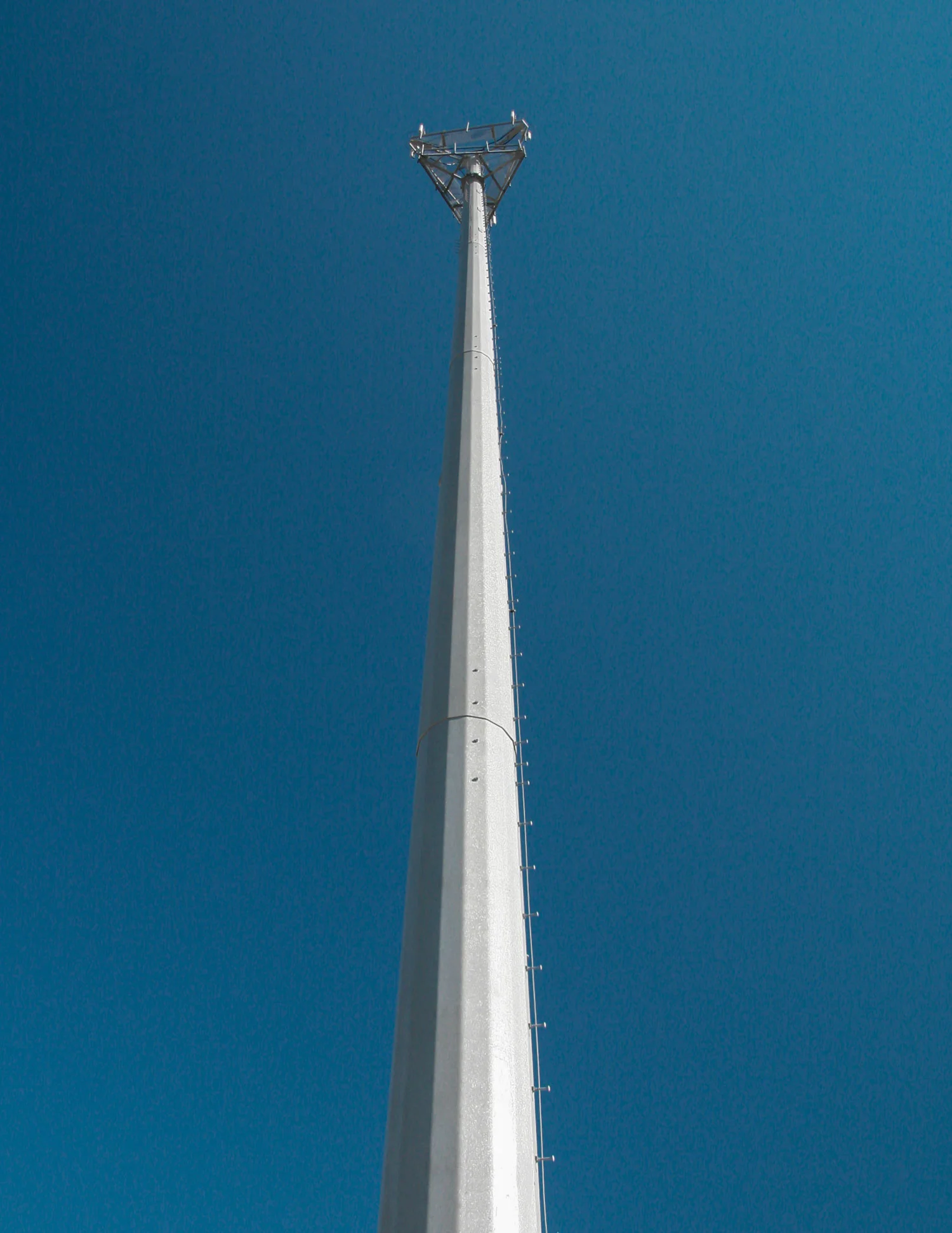 Looking Up