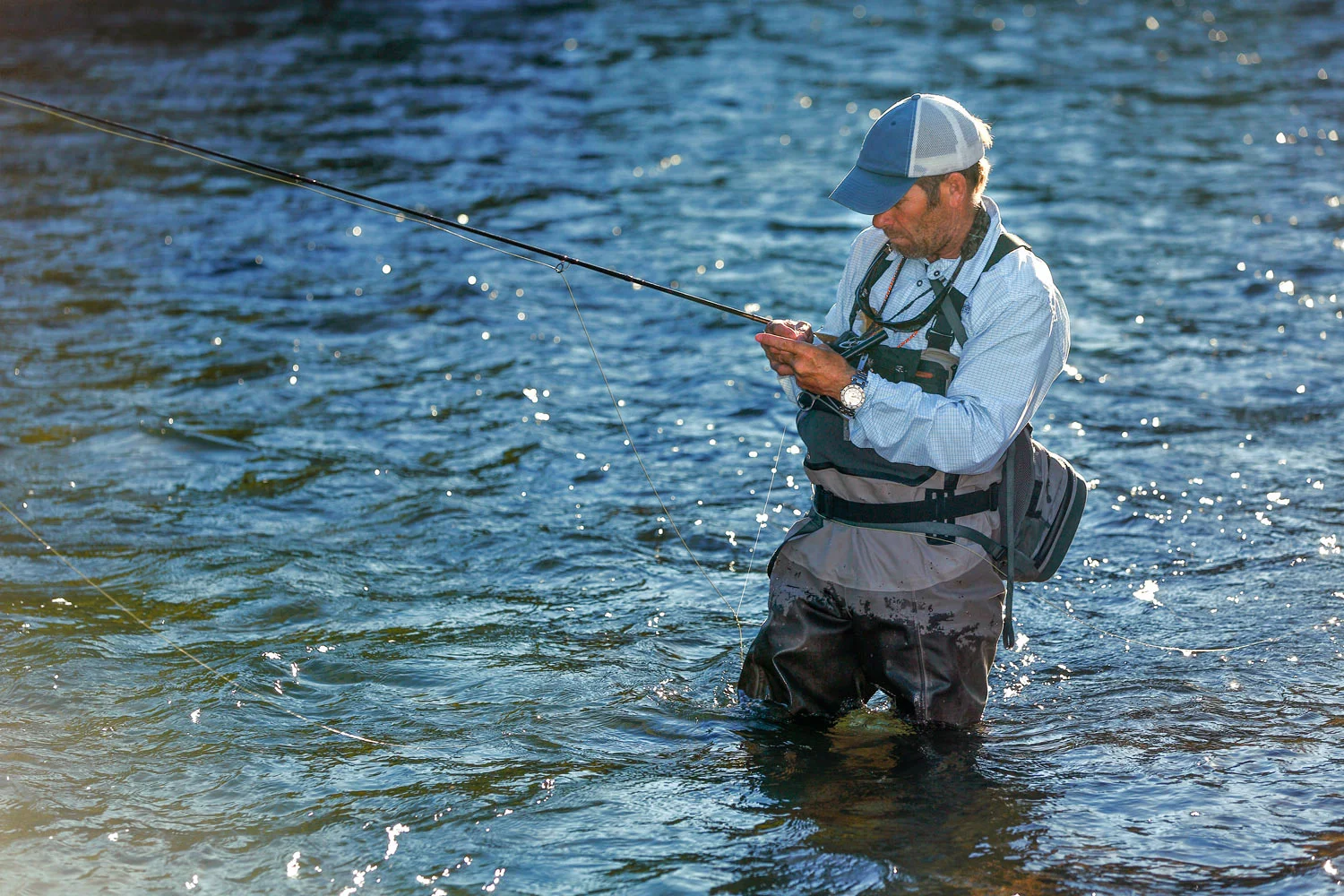 Changing Flies