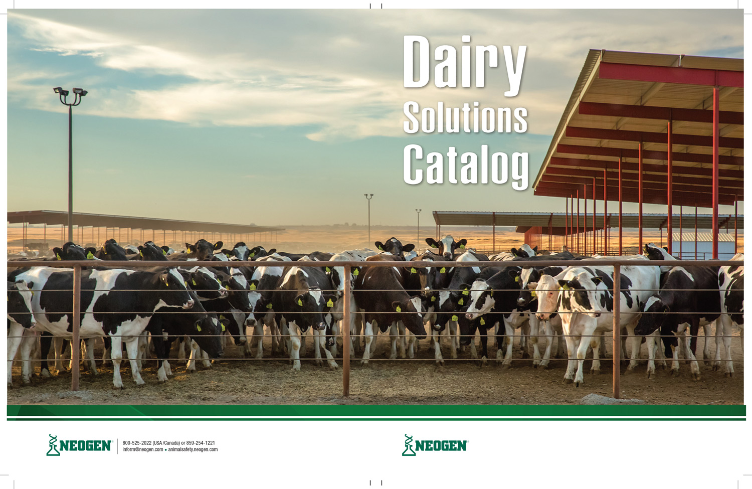 Dairy-Industry-Stock-Photography