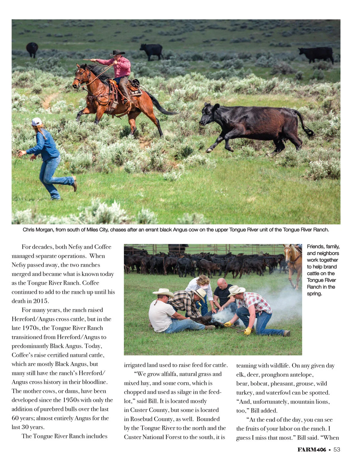 Ranching-Agricultural-Stock-Photos-Used-in-Magazine-04.jpg