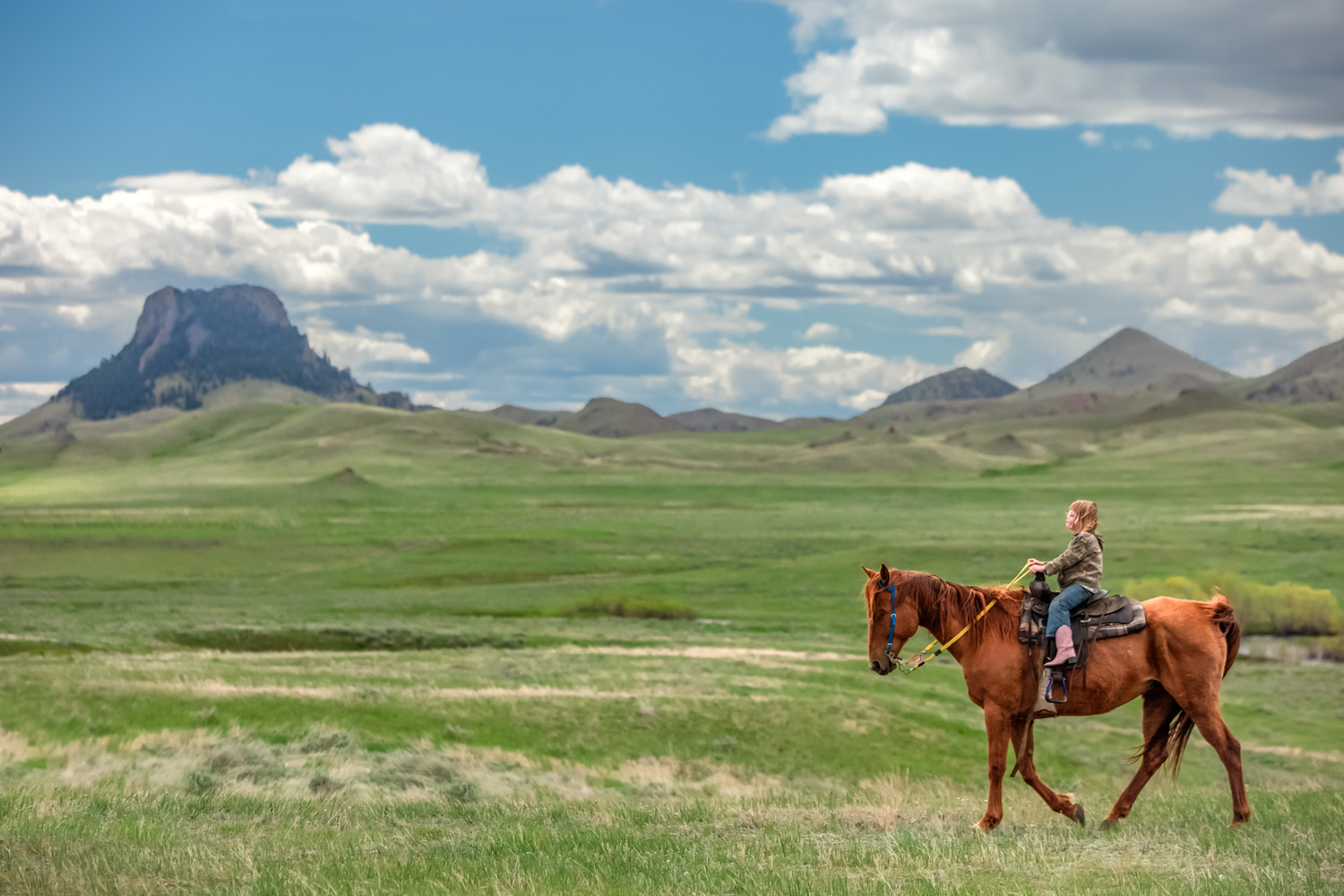A photo of a young girl riding her horse across a large open field of prairie grass near Cleveland, Montana.&nbsp;→ License Photo