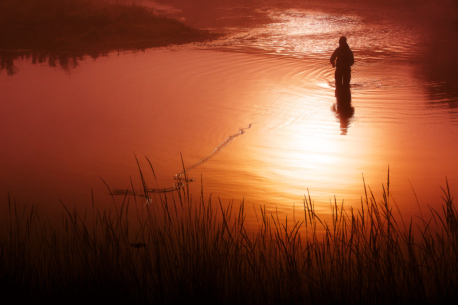 A fly fisherman trying his luck a the crack of dawn in a river near Cascade, Montana.&nbsp;→ License Photo