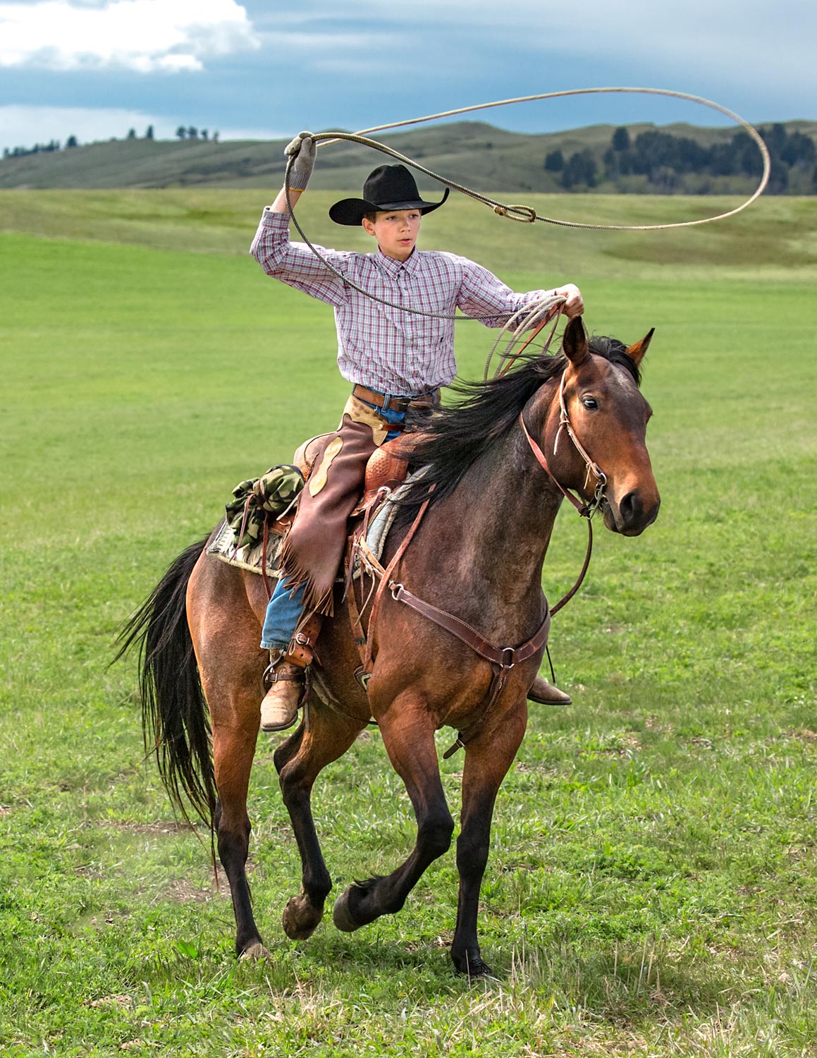 A young cowboy roping cattle on a ranch near Cleveland, Montana.&nbsp;→ License Photo