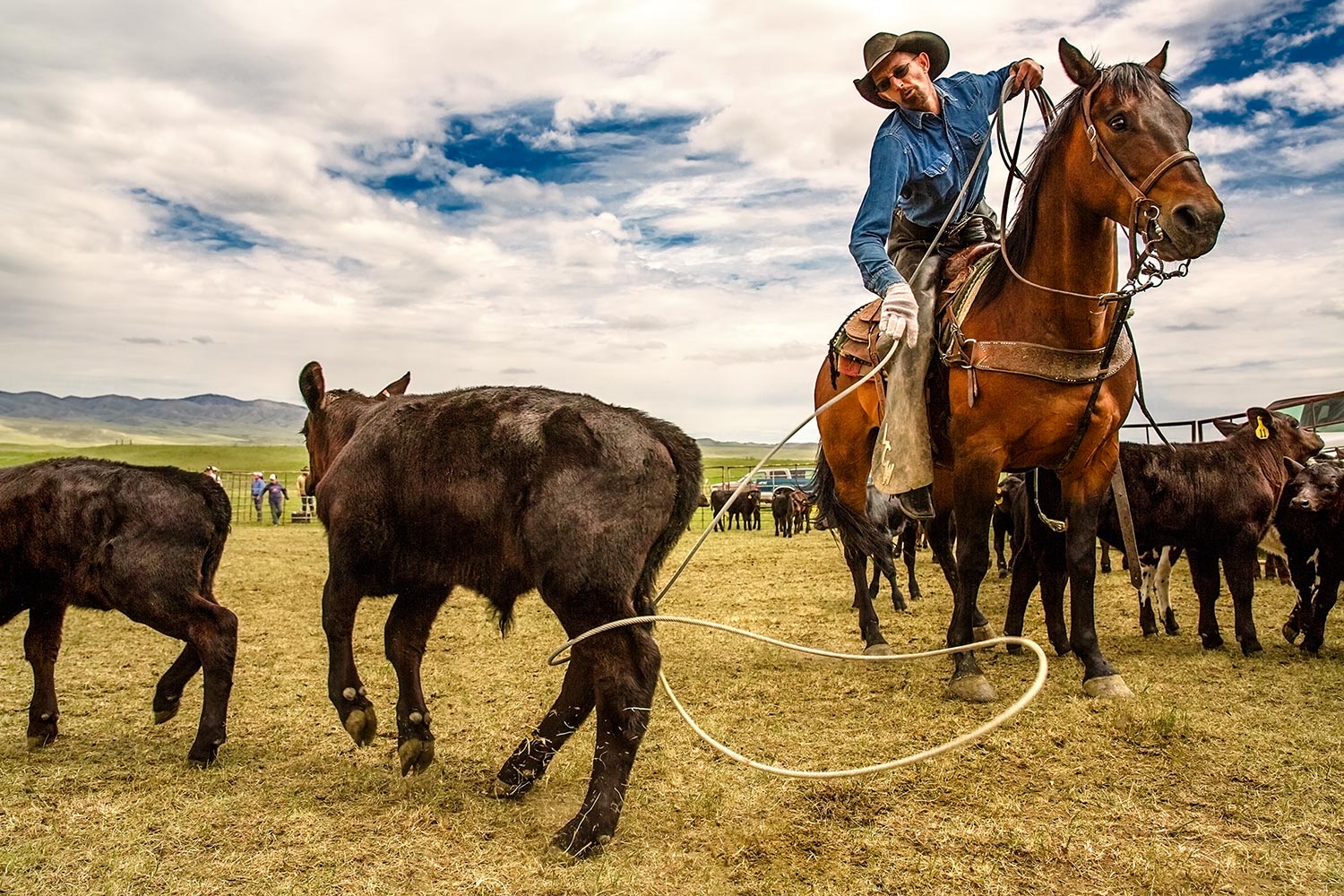 Photos-of-Cowboys-Roping-Cattle.jpg