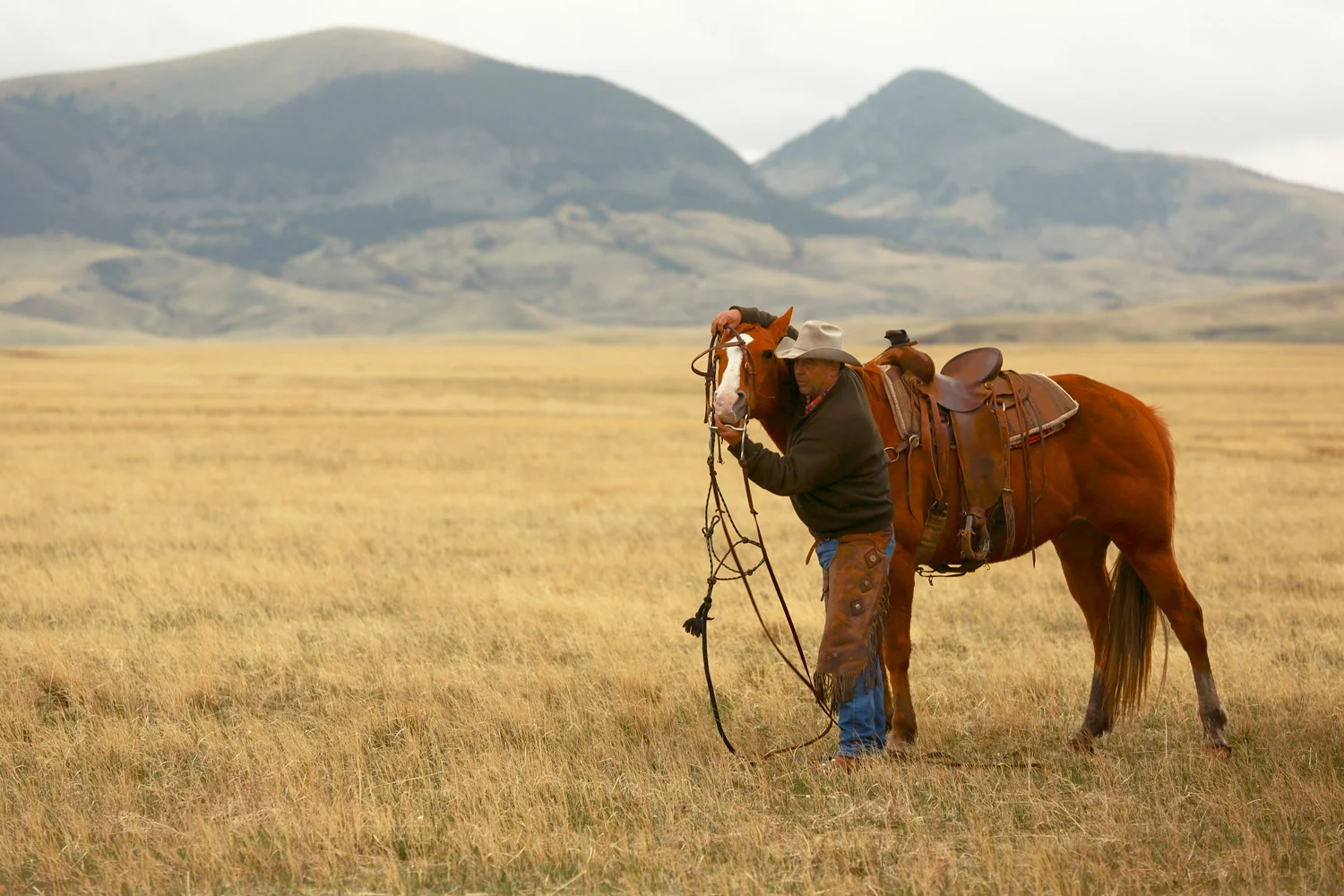 Older-Version-Cowboy-Dressing-Horse.jpg