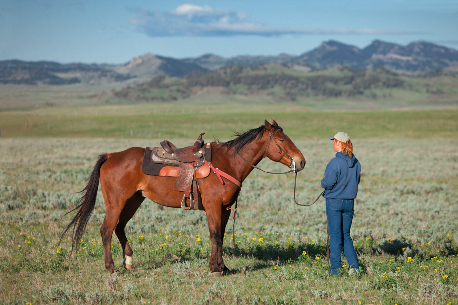 A cowgirl and her horse stand in the middle of a large field of green near Cleveland, Montana.&nbsp;→ License Photo