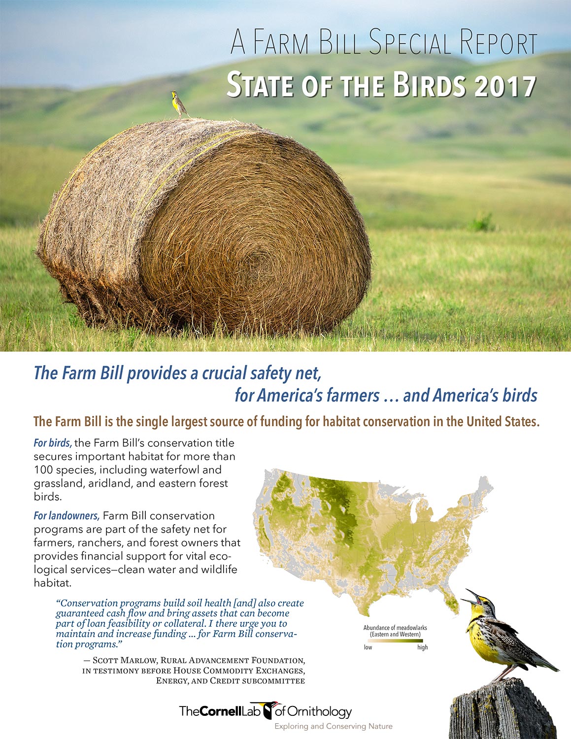 One of my rural photos appears on cover of State of the Birds 2017 report