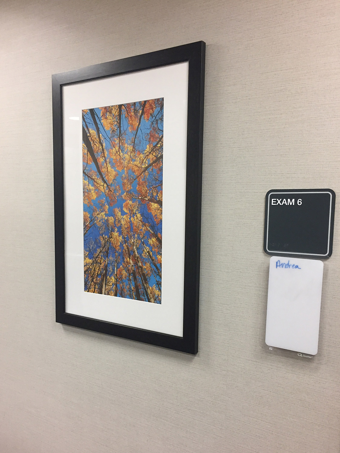 Framed print installed at Bozeman Health Wound Clinic