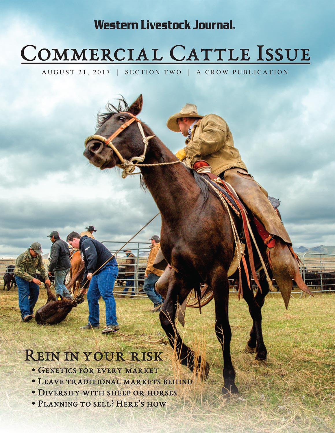 My ranching photos appear in Western Livestock Journal's Commercial Cattle Issue