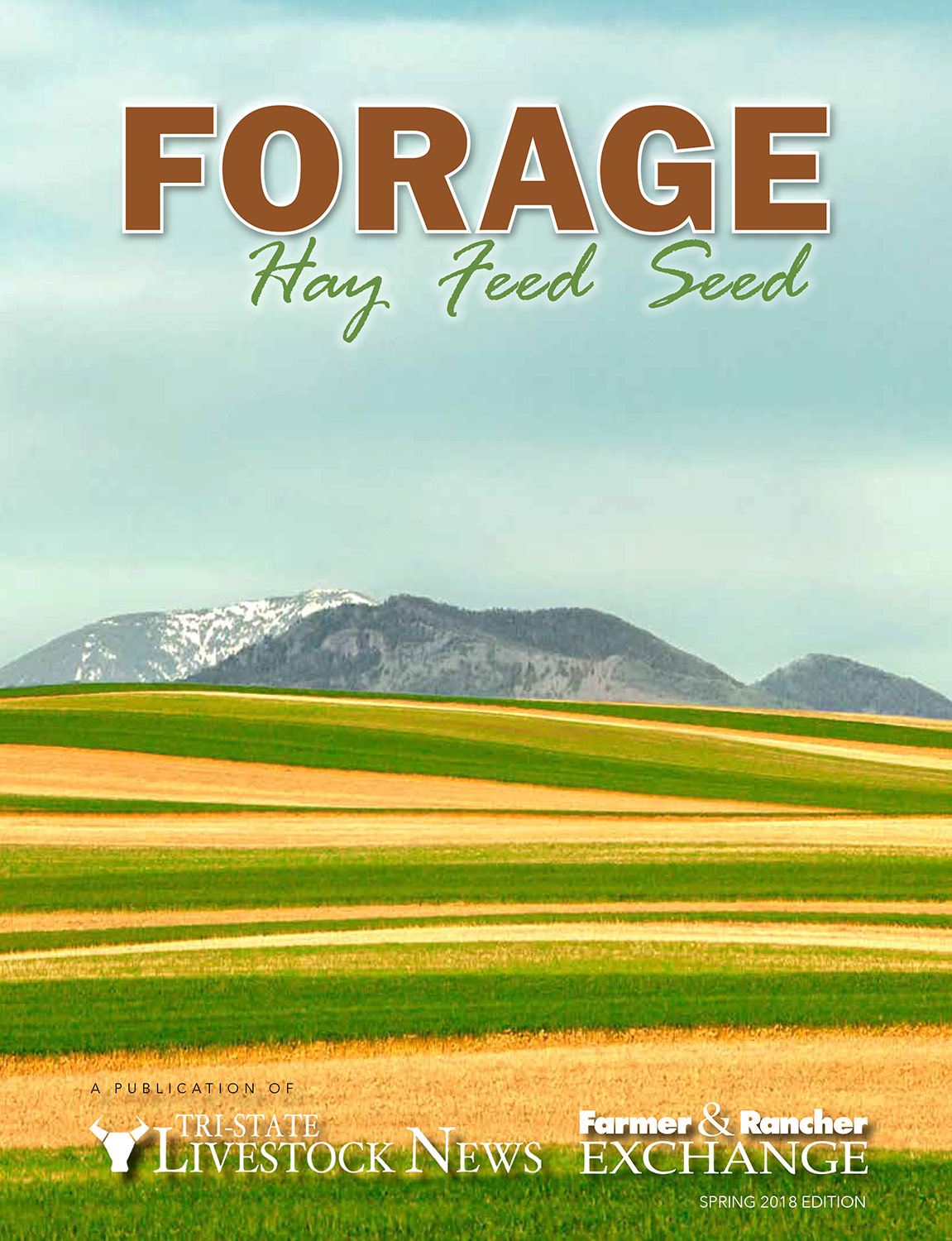 Photo of farm fields appears on cover of Forage Magazine