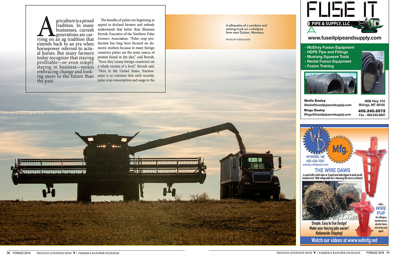 Forage-Magazine-A-New-Pulse-Story-201804-B.jpg