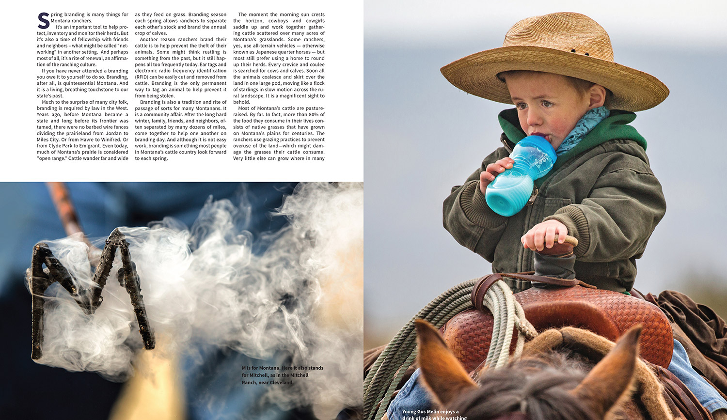 Montana-Magazine-Branding-Article-20180418-Small-2.jpg