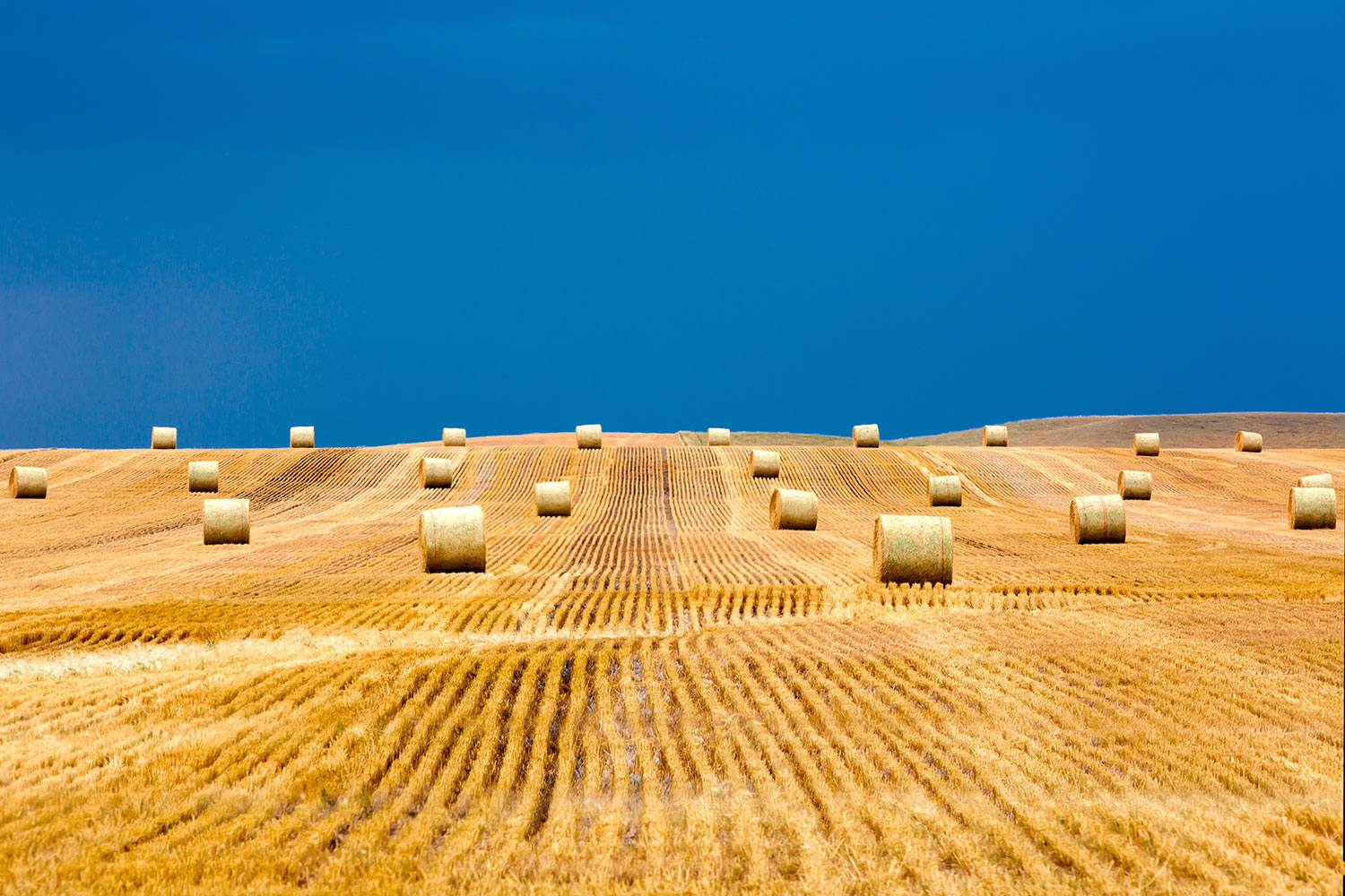 Bales on the Storm