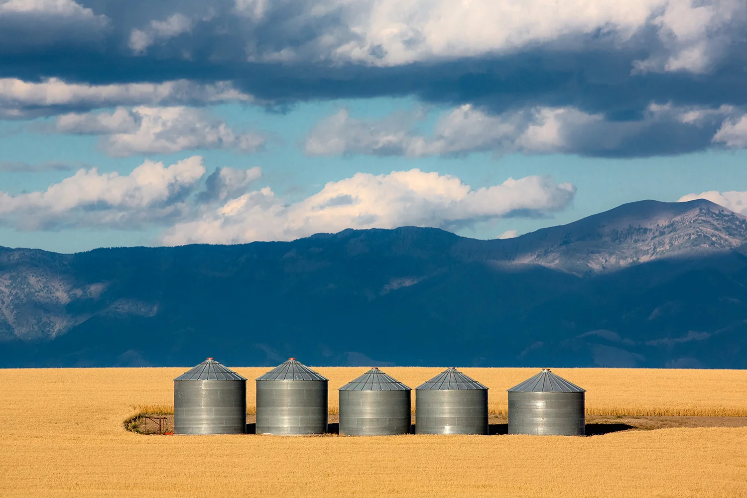 Gallatin Valley Bins
