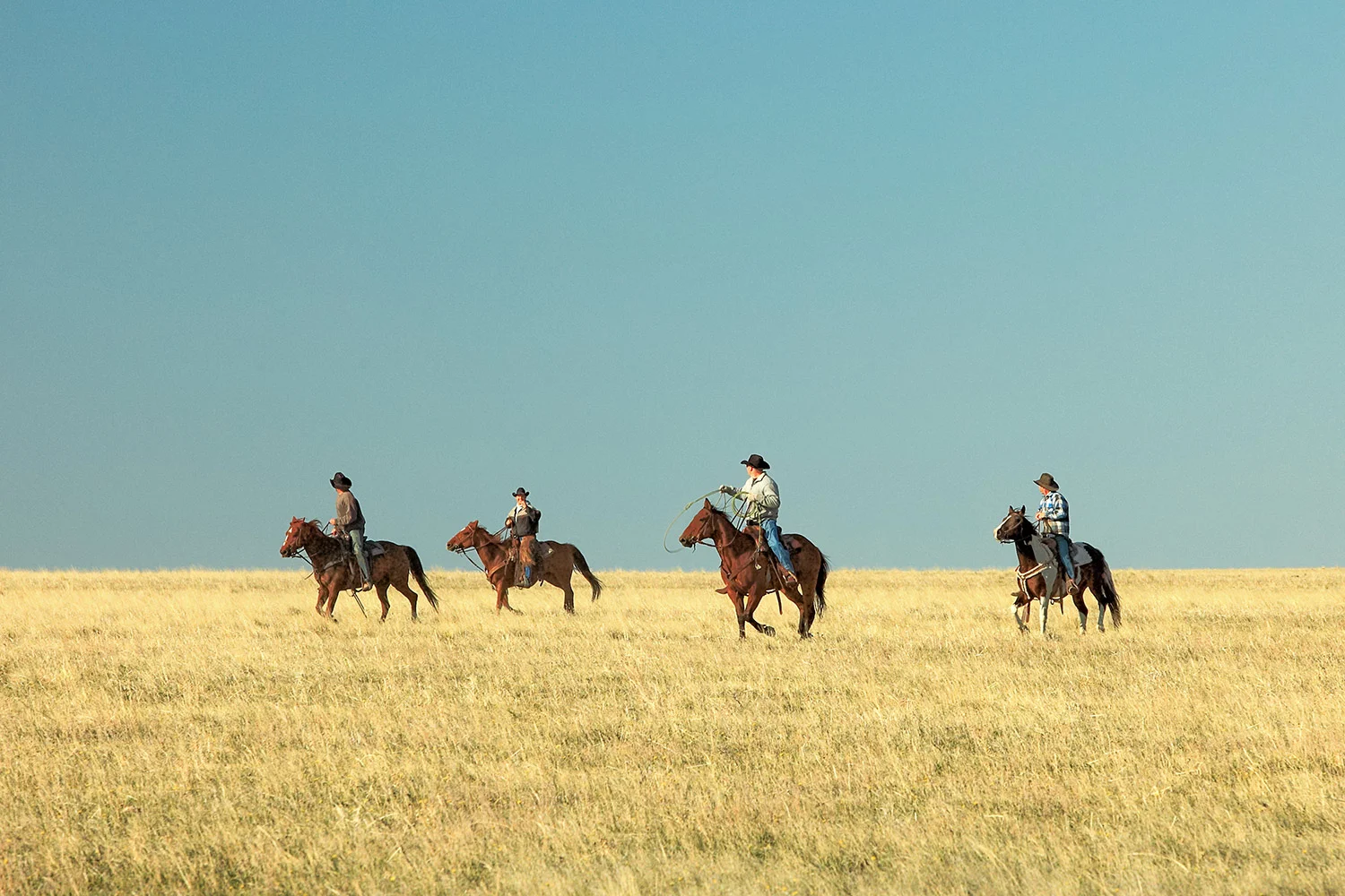 Four Horseman