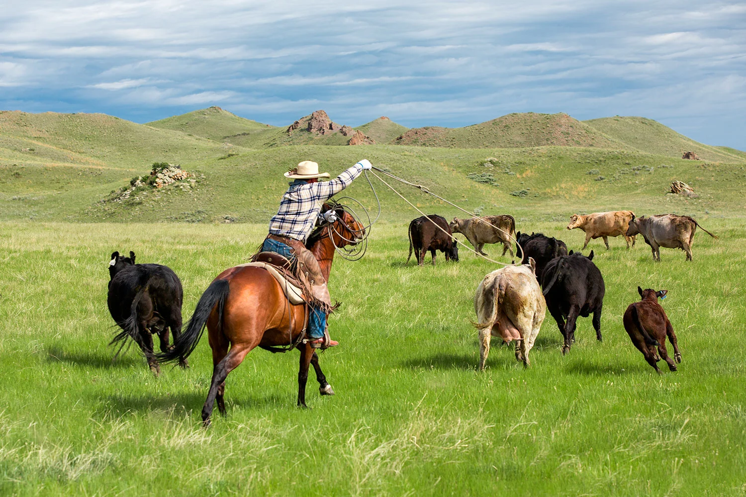 Roping and Racing
