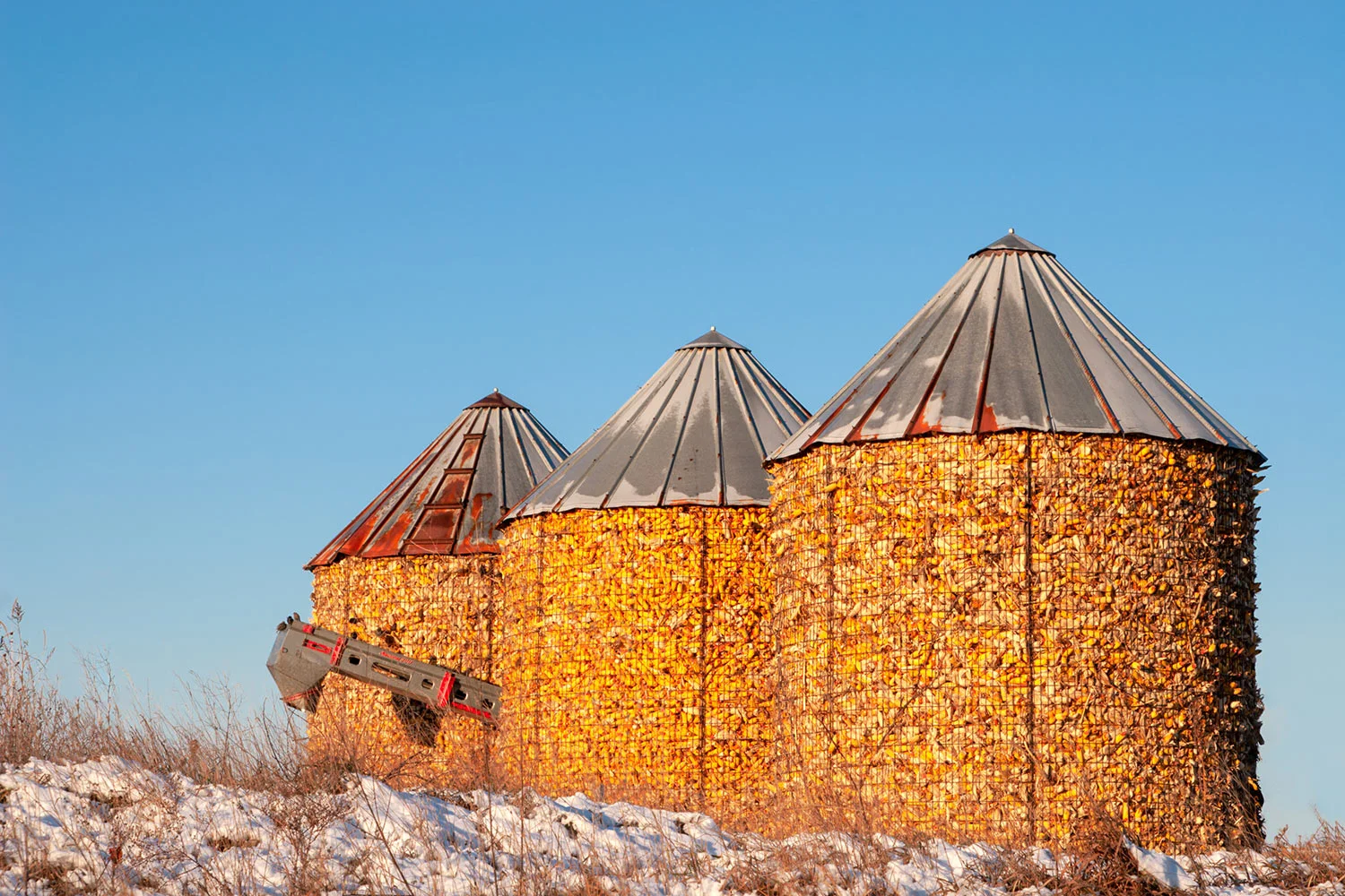 Full Corn Cribs