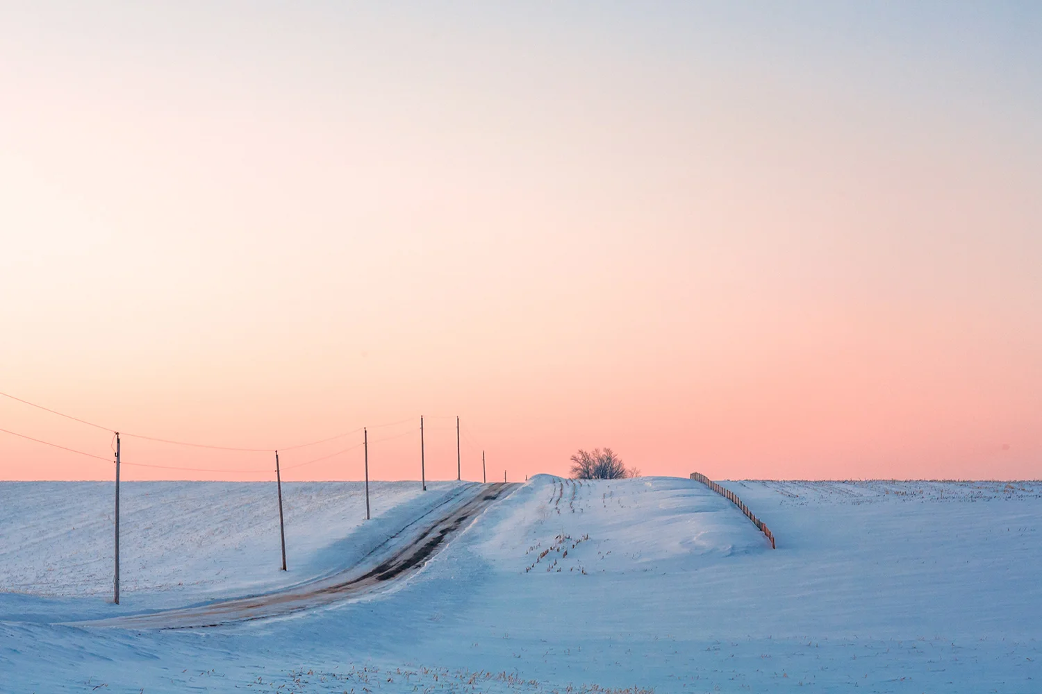 Cold Resolute