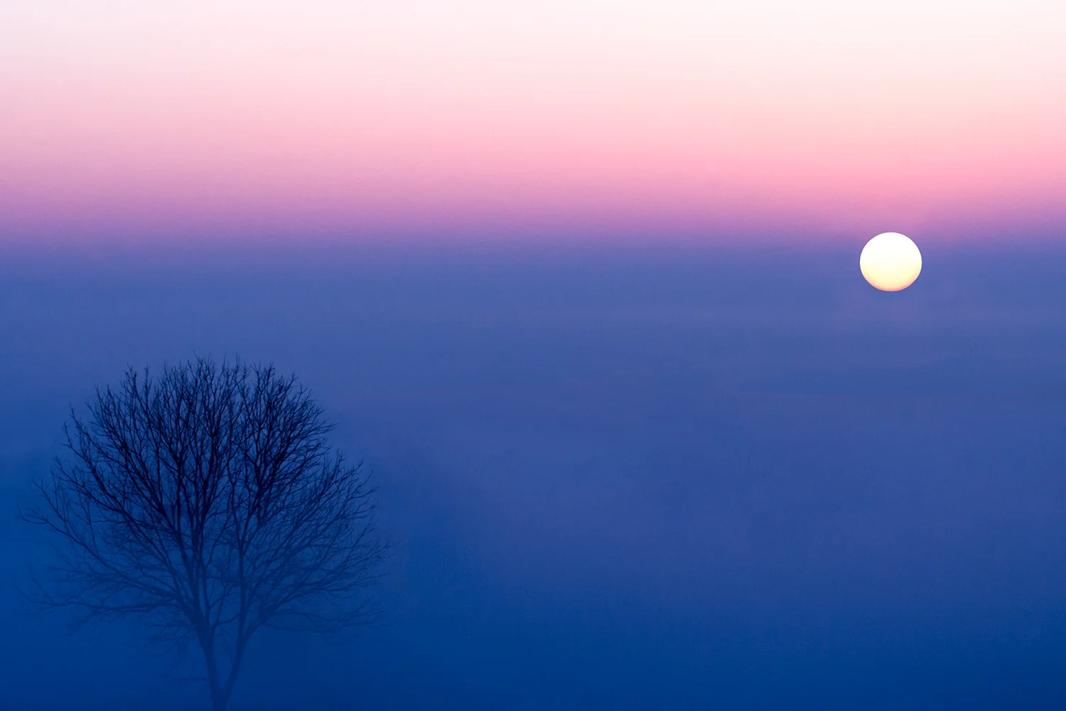 Cool Winter Sun
