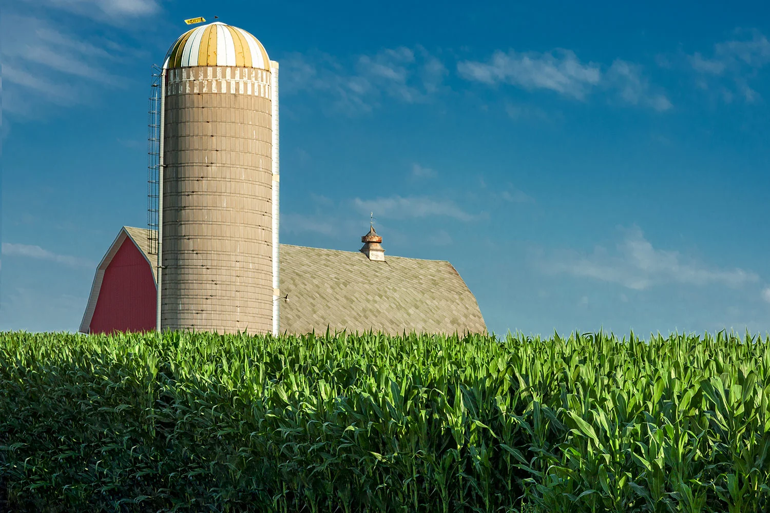 Wisconsin Scene