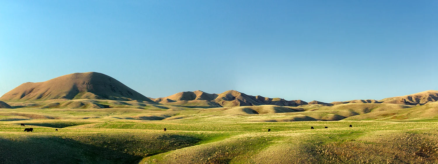 20+ Photos of Blaine County Todd Klassy Photography