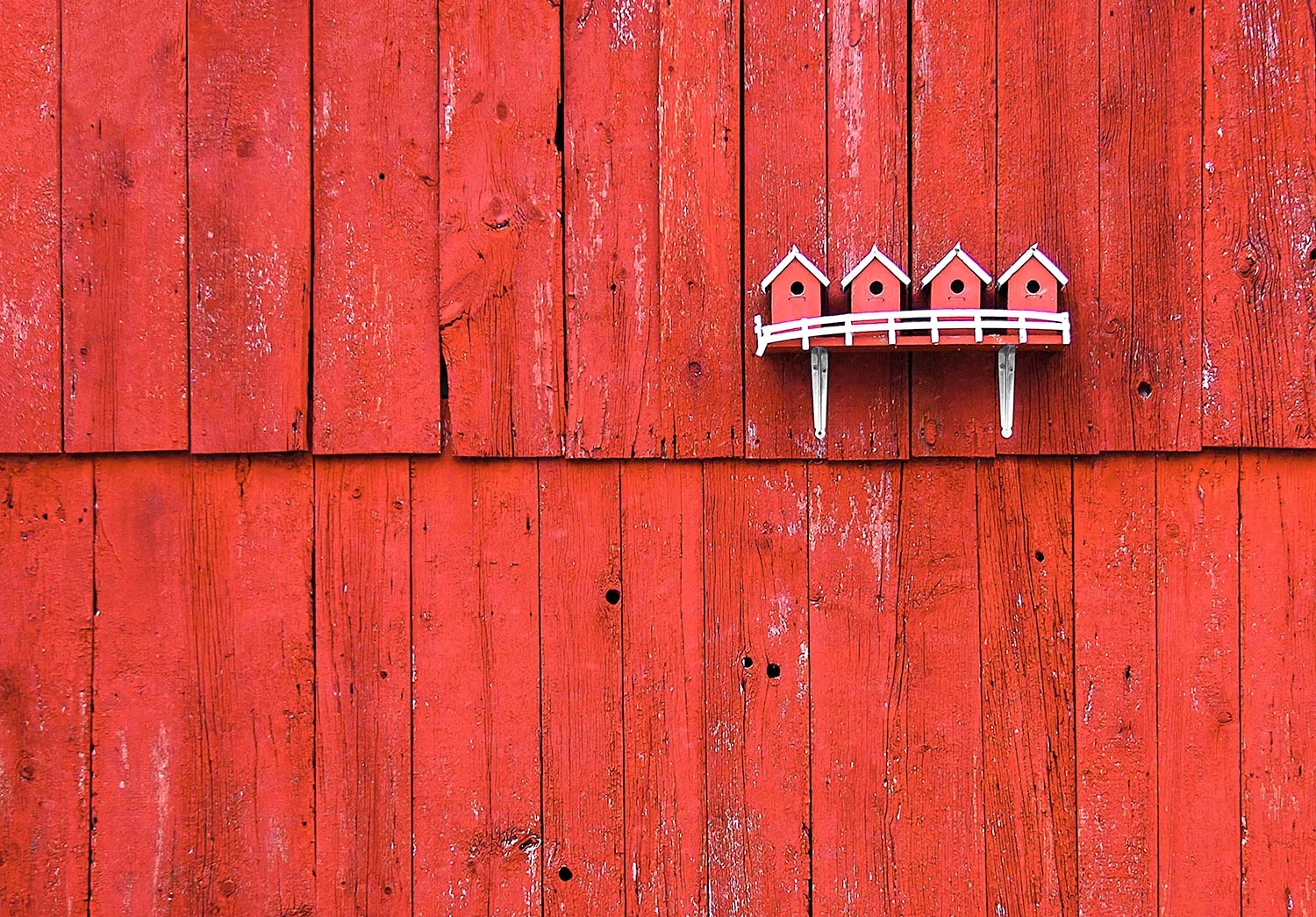 Little Bird Houses