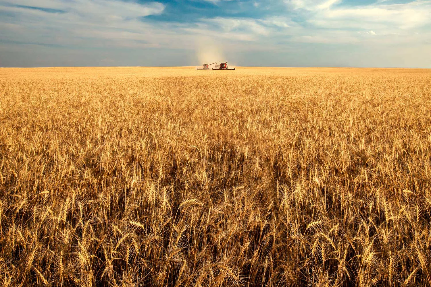 America's Breadbasket