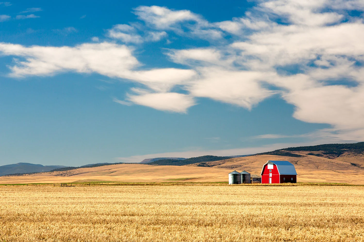 Prairie Red