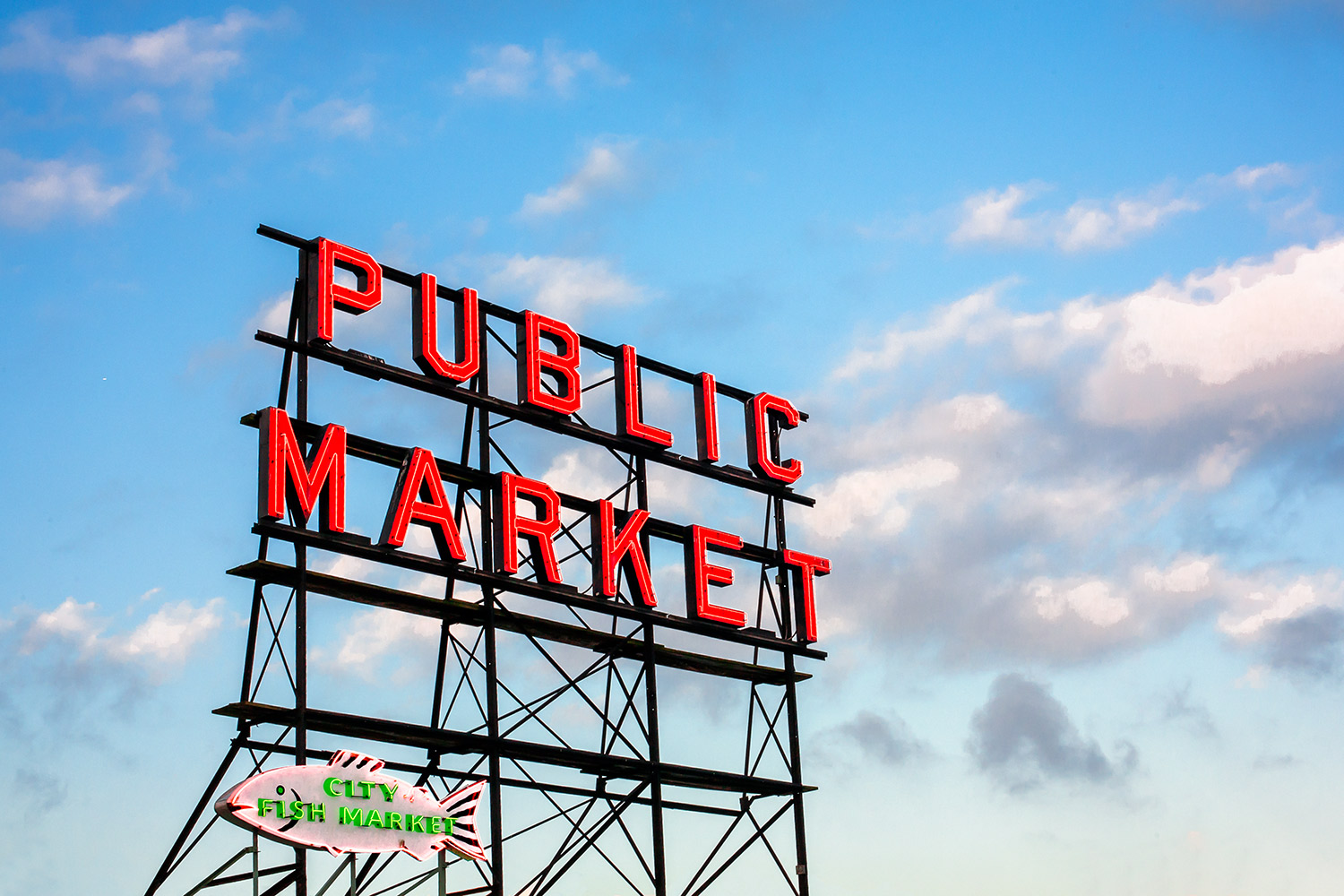 Public Market by Day