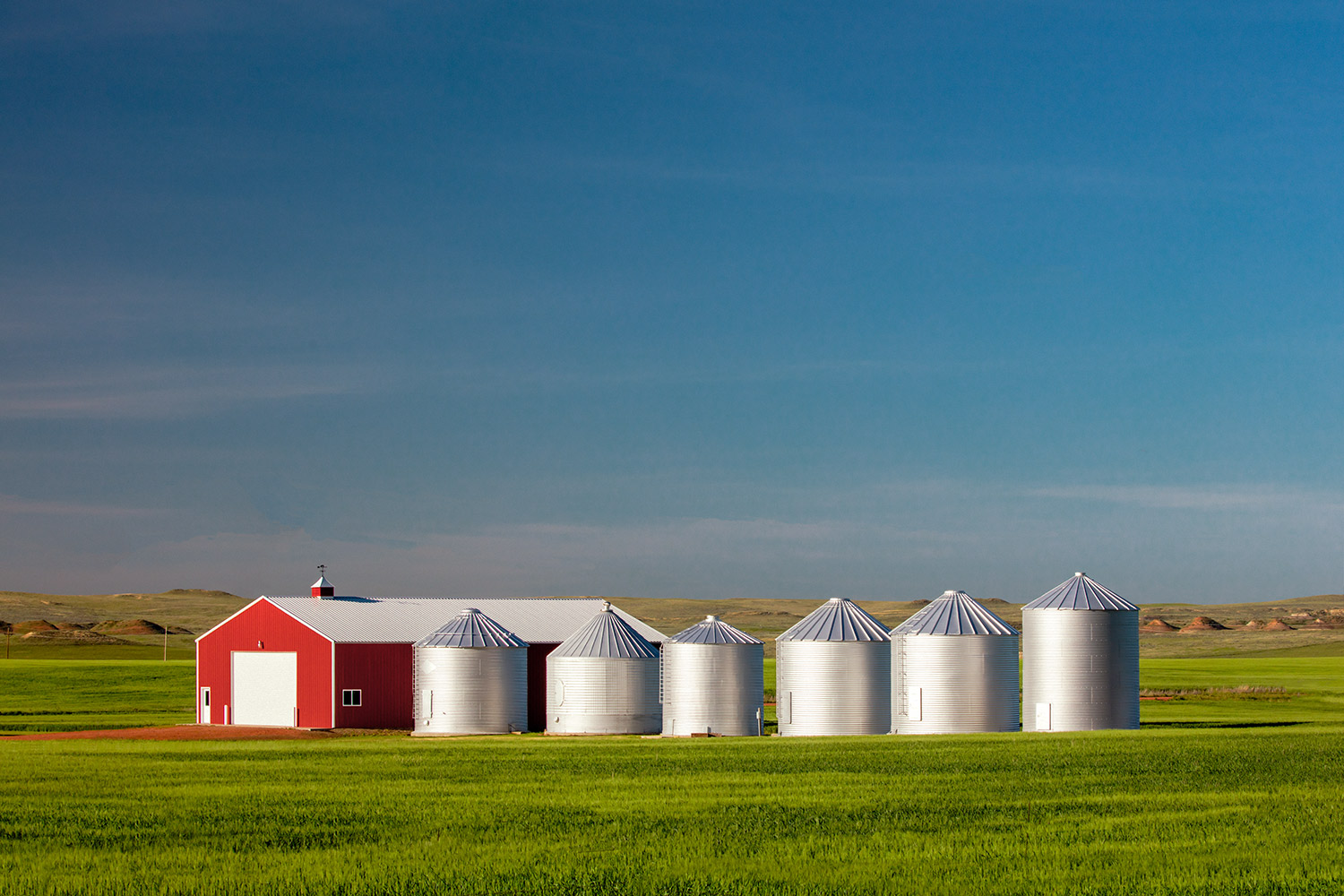 6 Bins and a Red Shed