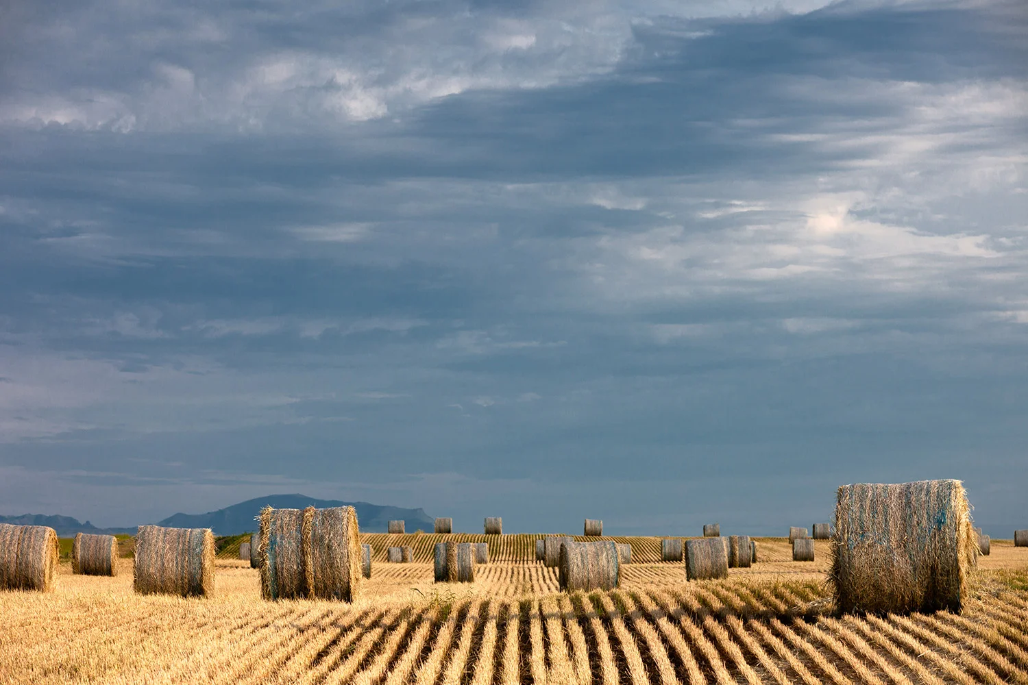 Bales After the Storm