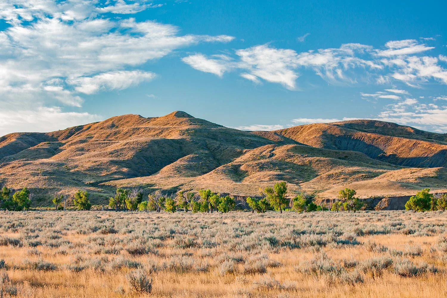 Arrow Creek Hills