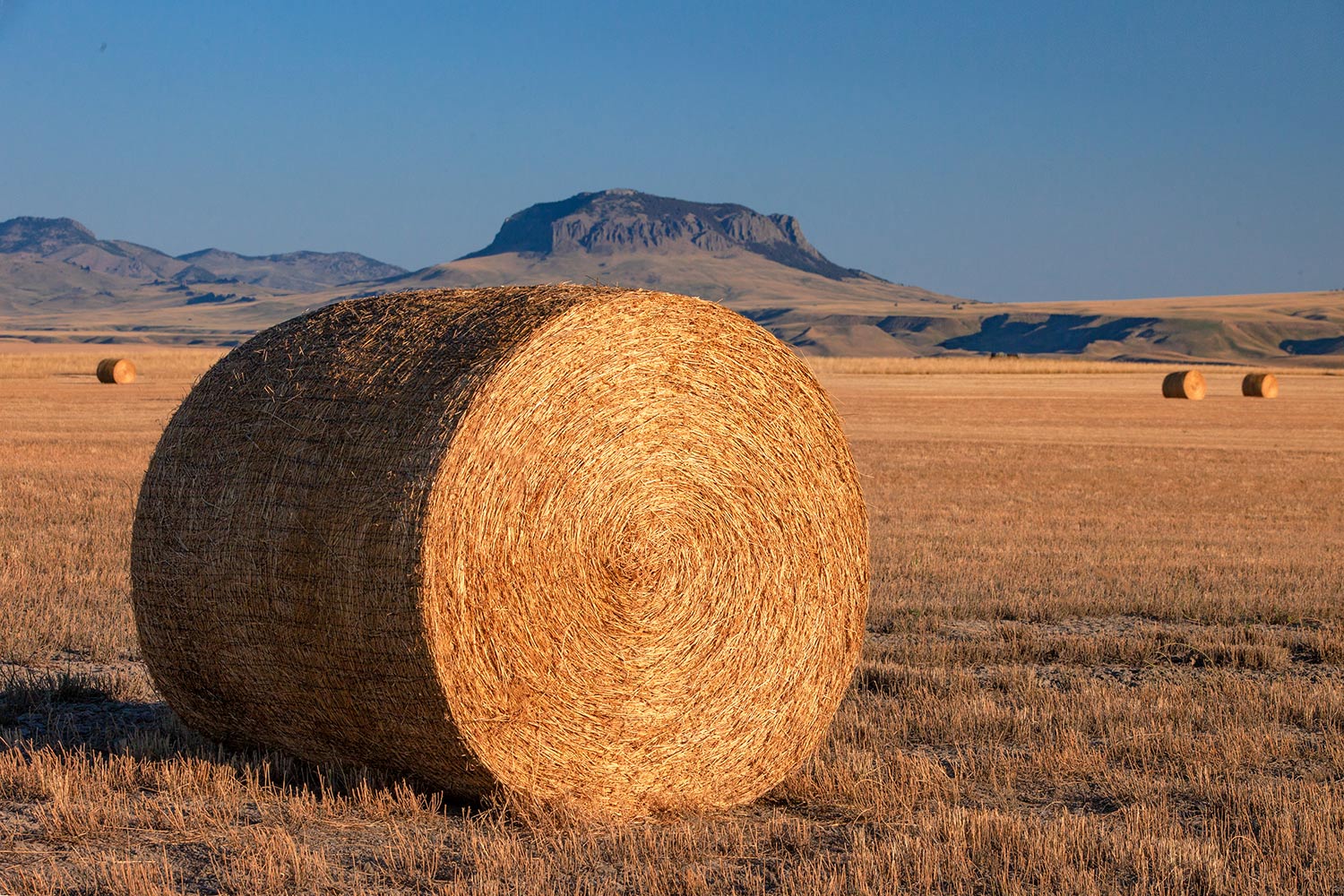Round Bale and Butte