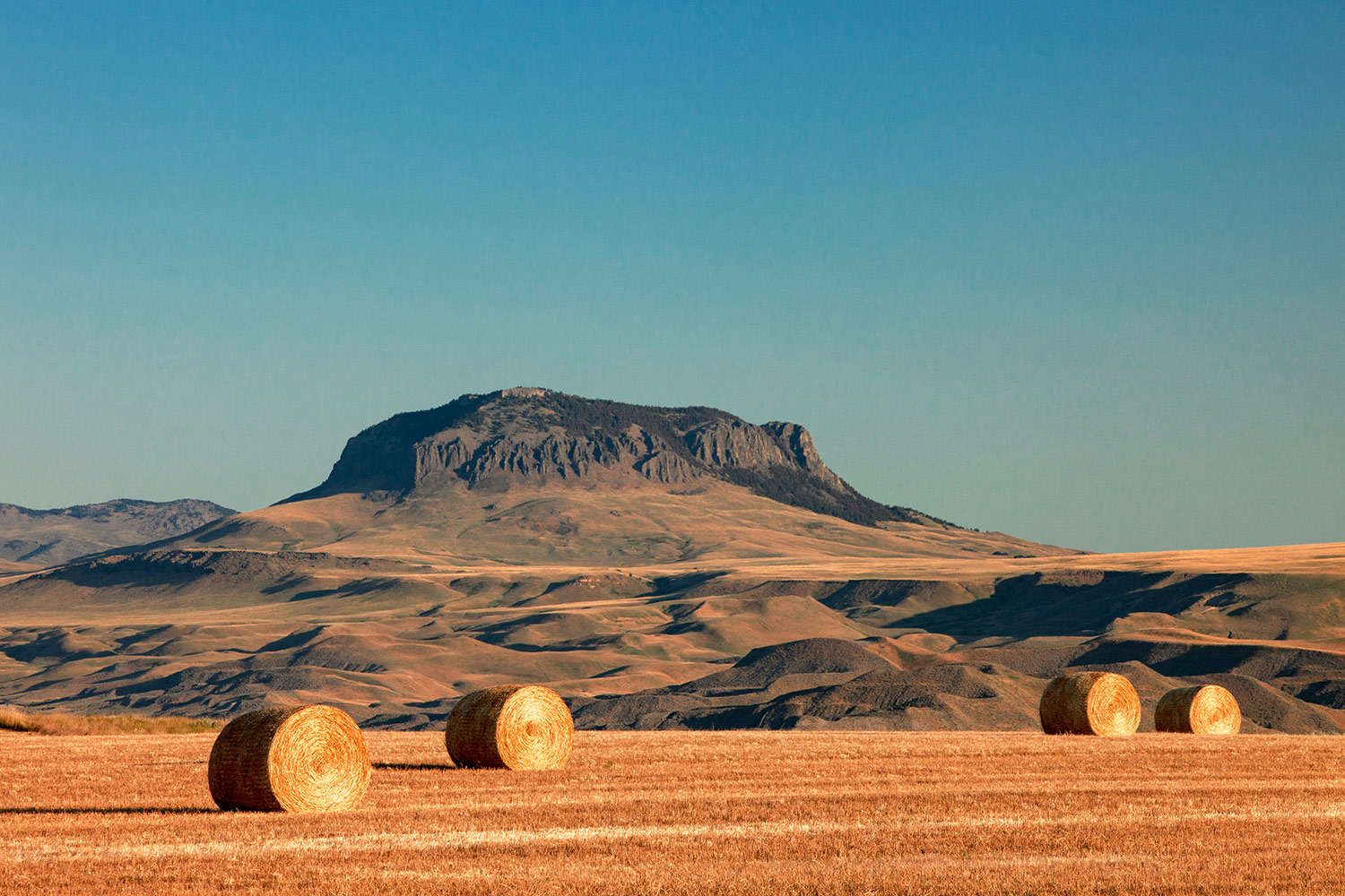 Round Bales and Butte